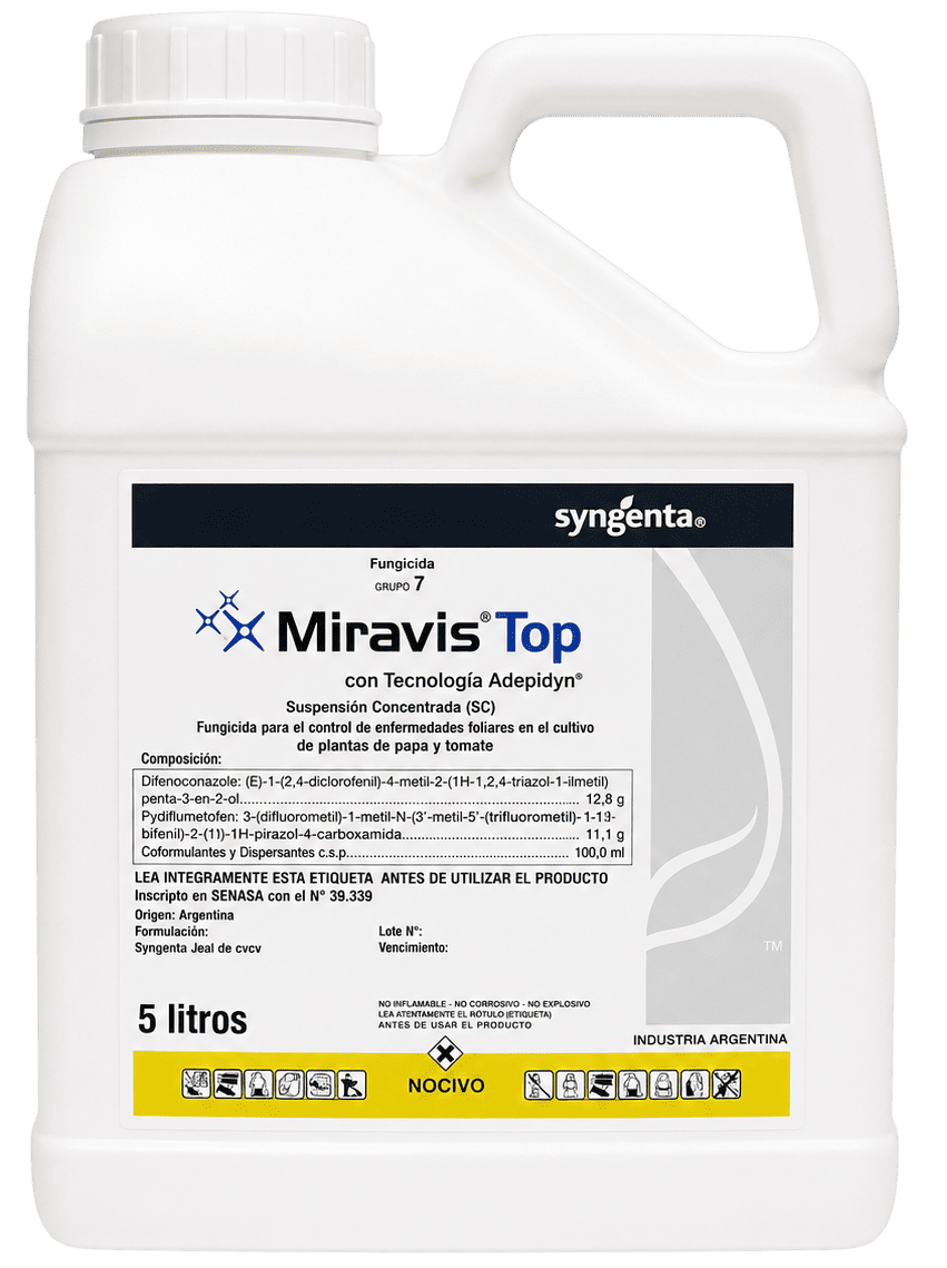 MIRAVIS TOP